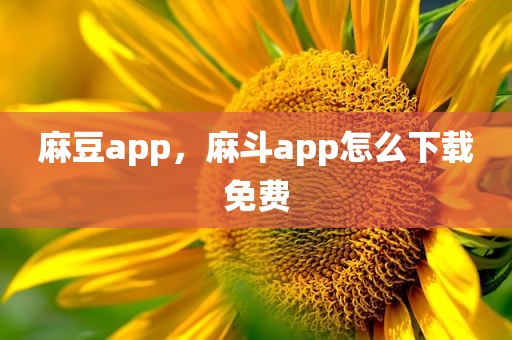 麻豆app，麻斗app怎么下载免费