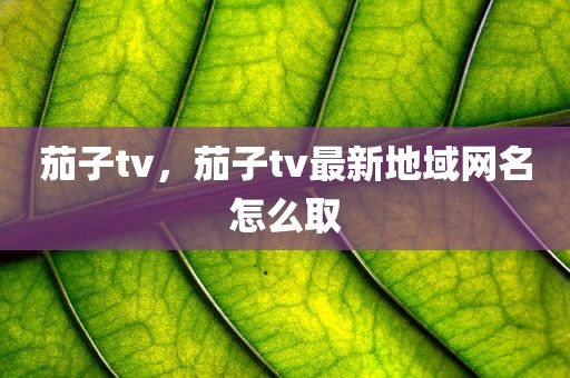 茄子tv，茄子tv最新地域网名怎么取
