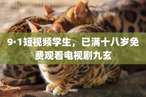 9·1短视频学生，已满十八岁免费观看电视剧九玄