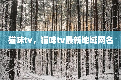 猫咪tv，猫咪tv最新地域网名