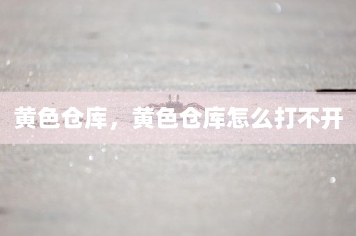 黄色仓库，黄色仓库怎么打不开