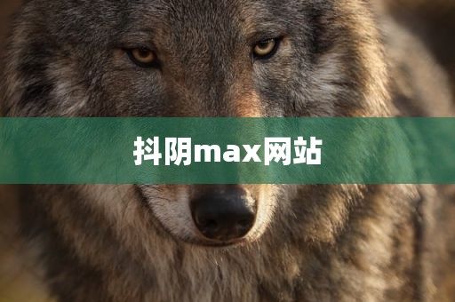抖阴max网站