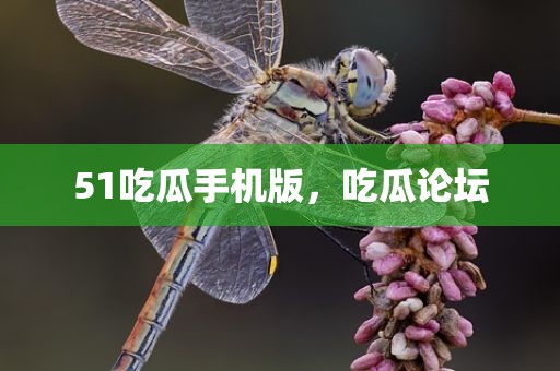 51吃瓜手机版，吃瓜论坛