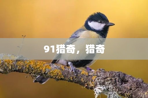 91猎奇，猎奇