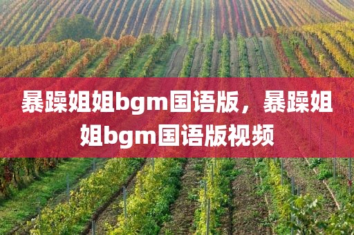 暴躁姐姐bgm国语版，暴躁姐姐bgm国语版视频
