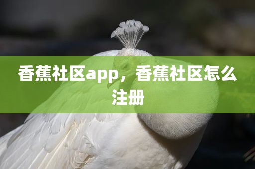 香蕉社区app，香蕉社区怎么注册