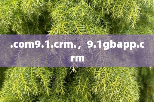 .com9.1.crm.，9.1gbapp.crm
