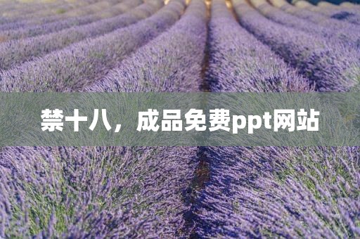 禁十八，成品免费ppt网站