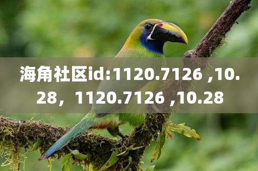 海角社区id:1120.7126 ,10.28，1120.7126 ,10.28