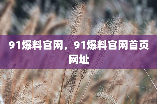 91爆料官网，91爆料官网首页网址