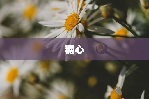 糖心