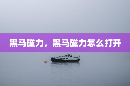 黑马磁力，黑马磁力怎么打开