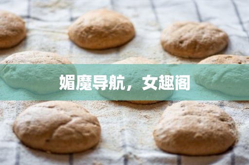 媚魔导航，女趣阁
