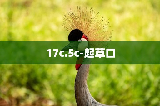 17c.5c-起草口