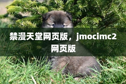 禁漫天堂网页版，jmocimc2网页版