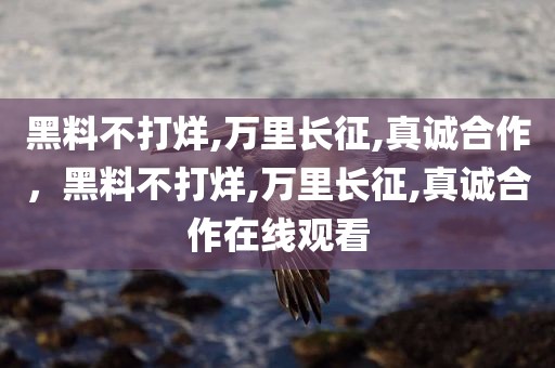 黑料不打烊,万里长征,真诚合作，黑料不打烊,万里长征,真诚合作在线观看