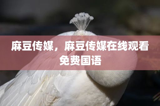 麻豆传媒，麻豆传媒在线观看免费国语