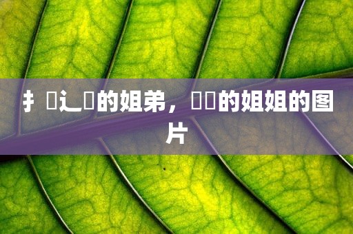 扌臿辶畐的姐弟，咘咘的姐姐的图片