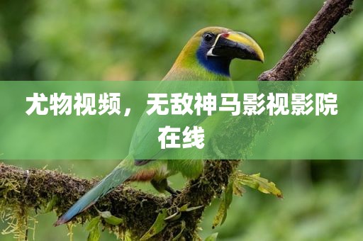 尤物视频，无敌神马影视影院在线