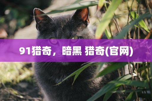 91猎奇，暗黑 猎奇(官网)