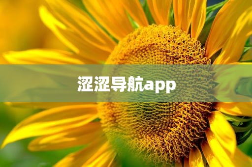 涩涩导航app