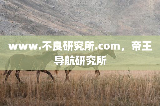 www.不良研究所.com，帝王导航研究所