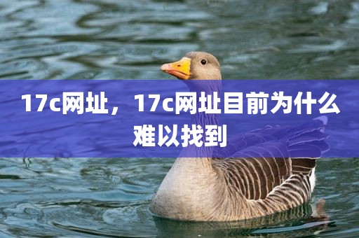 17c网址，17c网址目前为什么难以找到