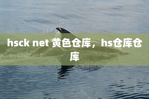 hsck net 黄色仓库，hs仓库仓库