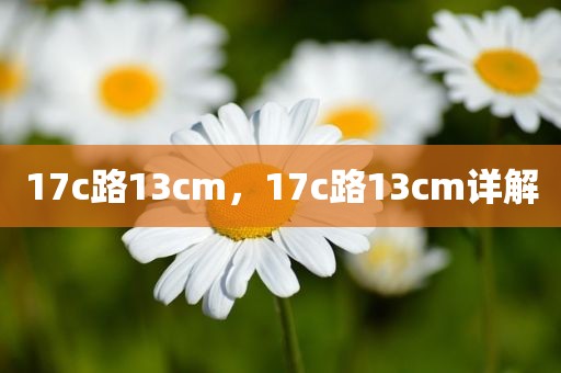 17c路13cm，17c路13cm详解