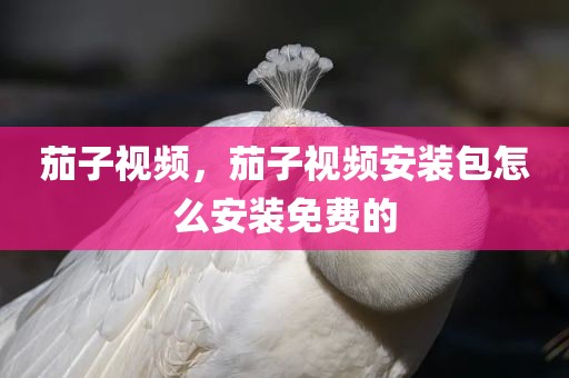 茄子视频，茄子视频安装包怎么安装免费的