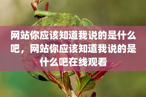 网站你应该知道我说的是什么吧，网站你应该知道我说的是什么吧在线观看