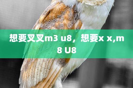 想要叉叉m3 u8，想要x x,m8 U8