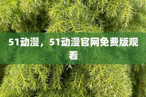 51动漫，51动漫官网免费版观看