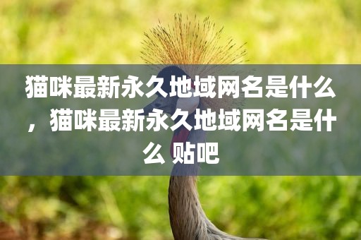 猫咪最新永久地域网名是什么，猫咪最新永久地域网名是什么 贴吧