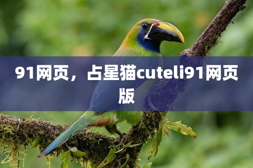 91网页，占星猫cuteli91网页版