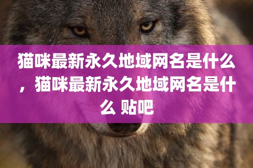 猫咪最新永久地域网名是什么，猫咪最新永久地域网名是什么 贴吧