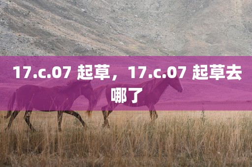 17.c.07 起草，17.c.07 起草去哪了