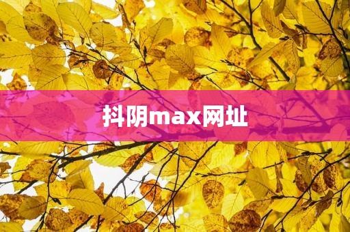 抖阴max网址