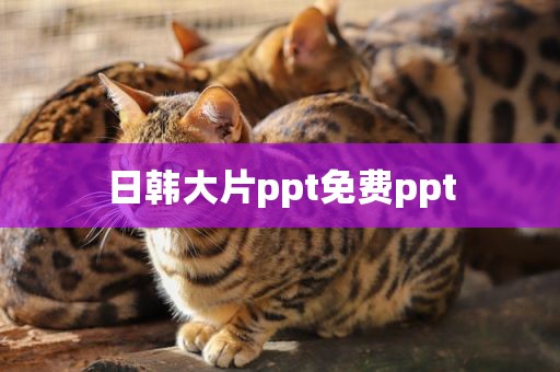 日韩大片ppt免费ppt