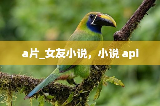 a片_女友小说，小说 api