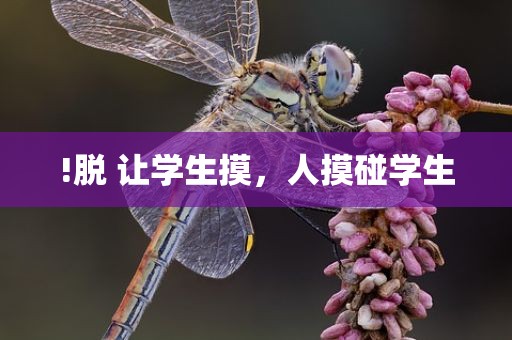 !脱 让学生摸，人摸碰学生