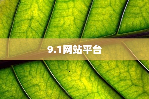 9.1网站平台