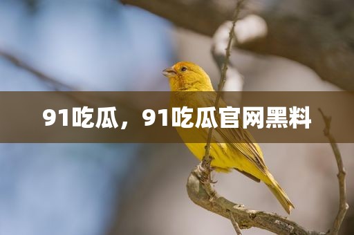 91吃瓜，91吃瓜官网黑料