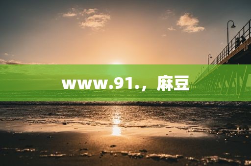 www.91.，麻豆