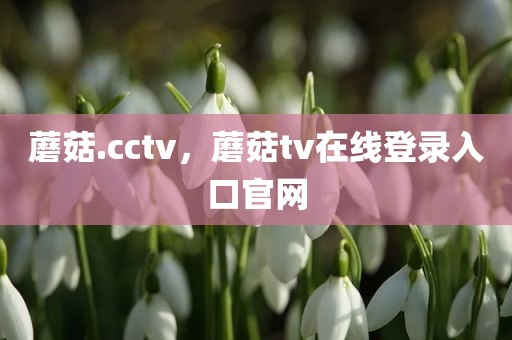 蘑菇.cctv，蘑菇tv在线登录入口官网