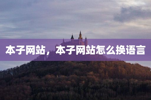 本子网站，本子网站怎么换语言