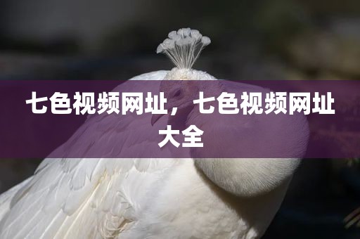 七色视频网址，七色视频网址大全