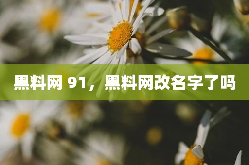 黑料网 91，黑料网改名字了吗