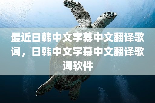 最近日韩中文字幕中文翻译歌词，日韩中文字幕中文翻译歌词软件
