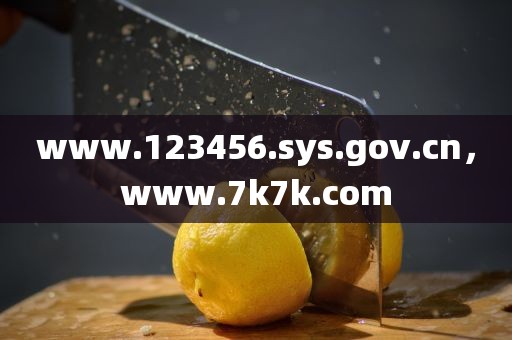 www.123456.sys.gov.cn，www.7k7k.com
